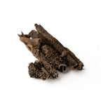 Green Beef Tripe 70g