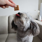Soft Natural Peanut Training Treats 170g