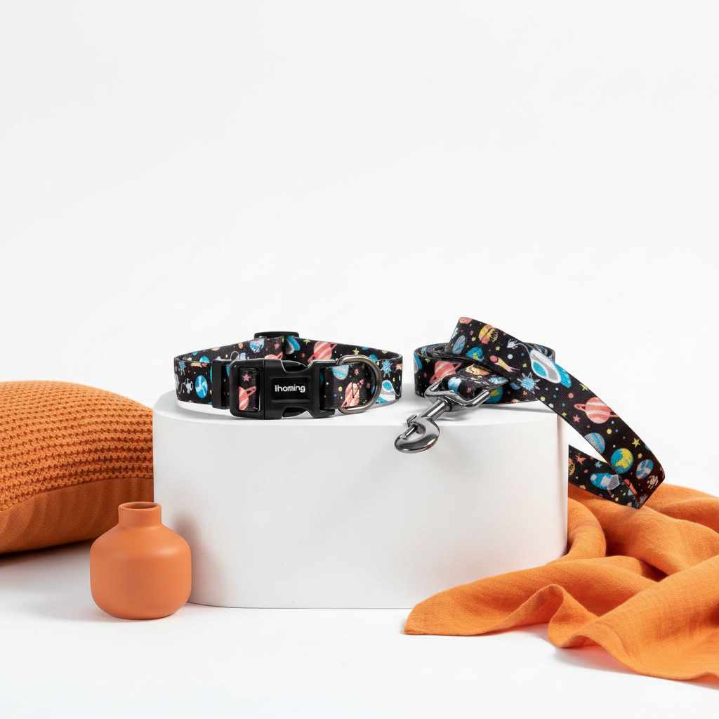 Space Print Dog Collar & Leash Set