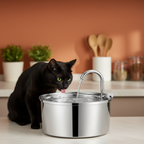 Water Fountain Stainless Steel
